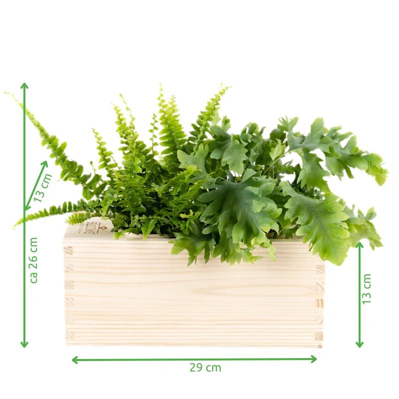 UU BloomsBox - Academiegebouw 2