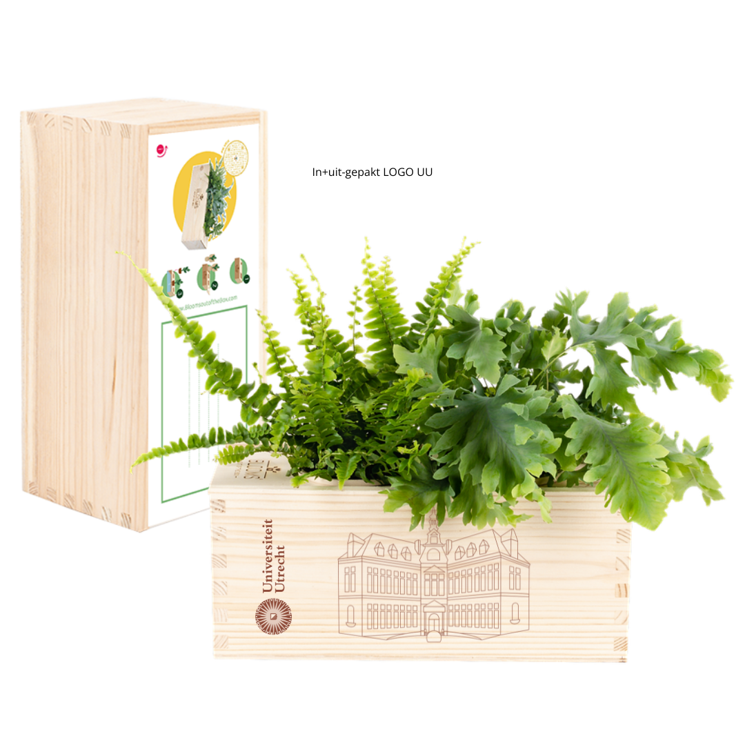 UU BloomsBox - Academiegebouw 2