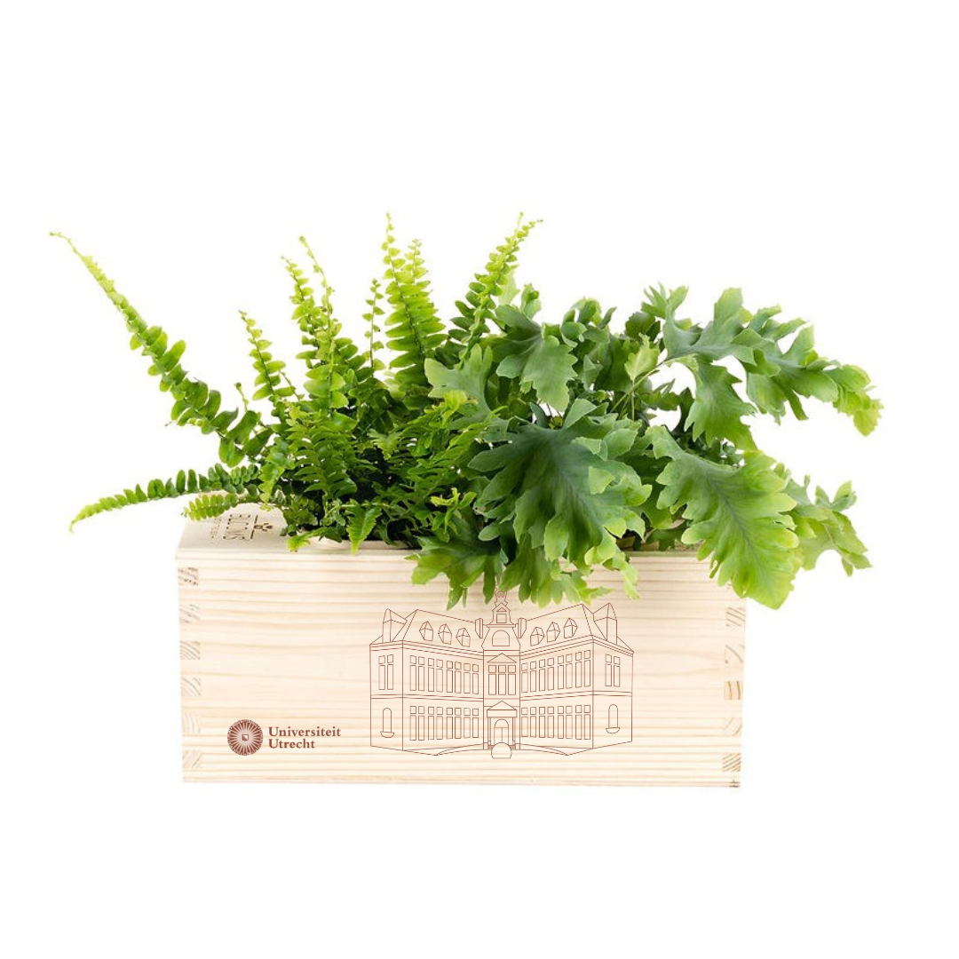 UU BloomsBox - Academiegebouw 1