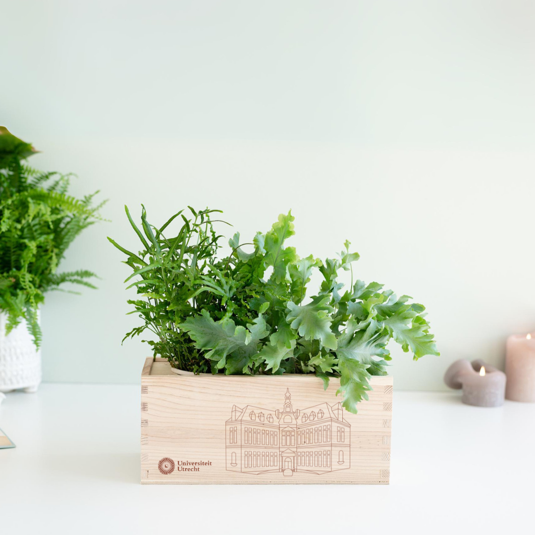 UU BloomsBox - Academiegebouw 1