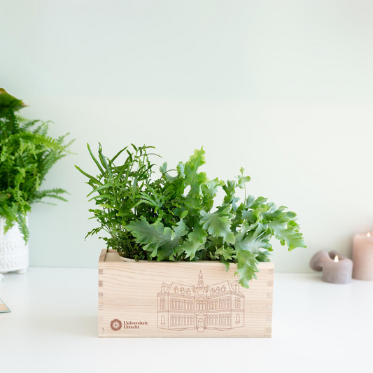 UU BloomsBox - Academiegebouw 1