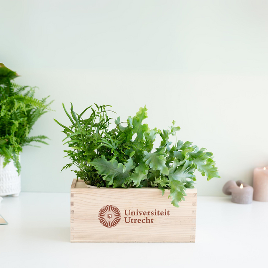 UU BloomsBox - UU logo