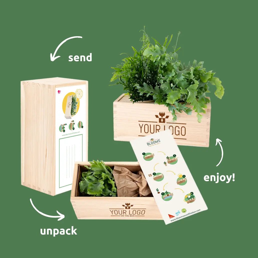 UU BloomsBox - Academiegebouw 1