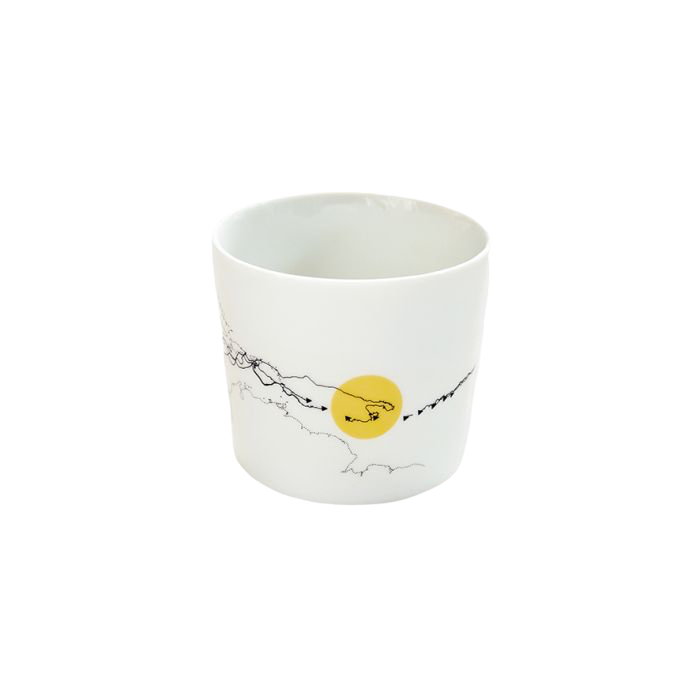 Kop #4 Over het opruimen van plastic in de oceanen