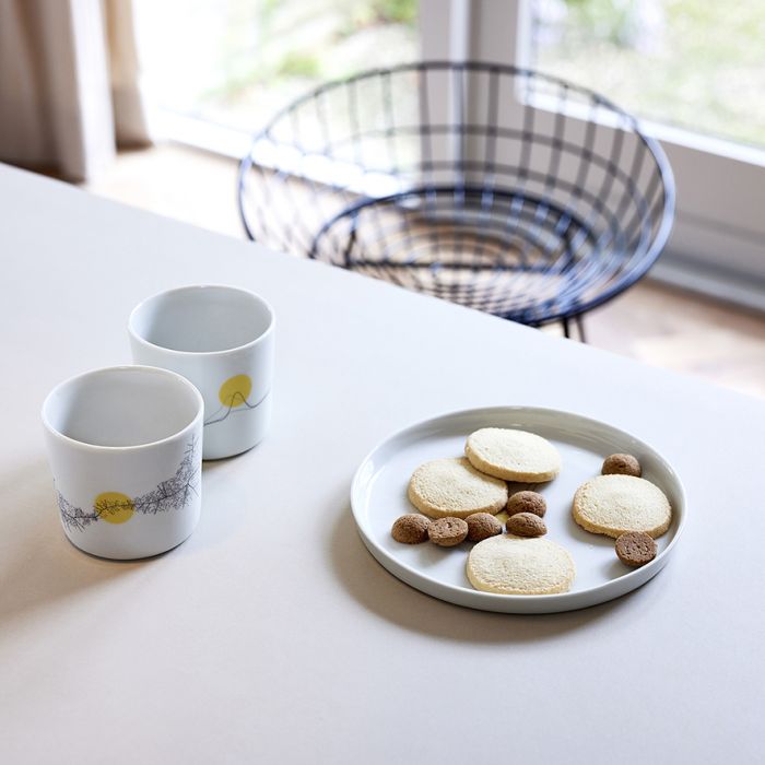 Kop #4 Over het opruimen van plastic in de oceanen